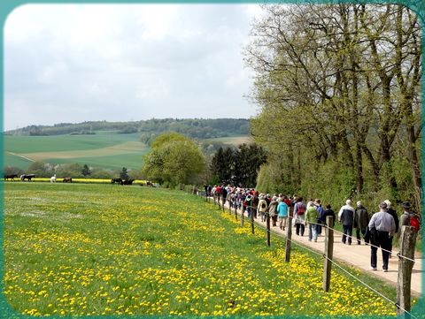 Erffnung Lebacher Haifischpfad